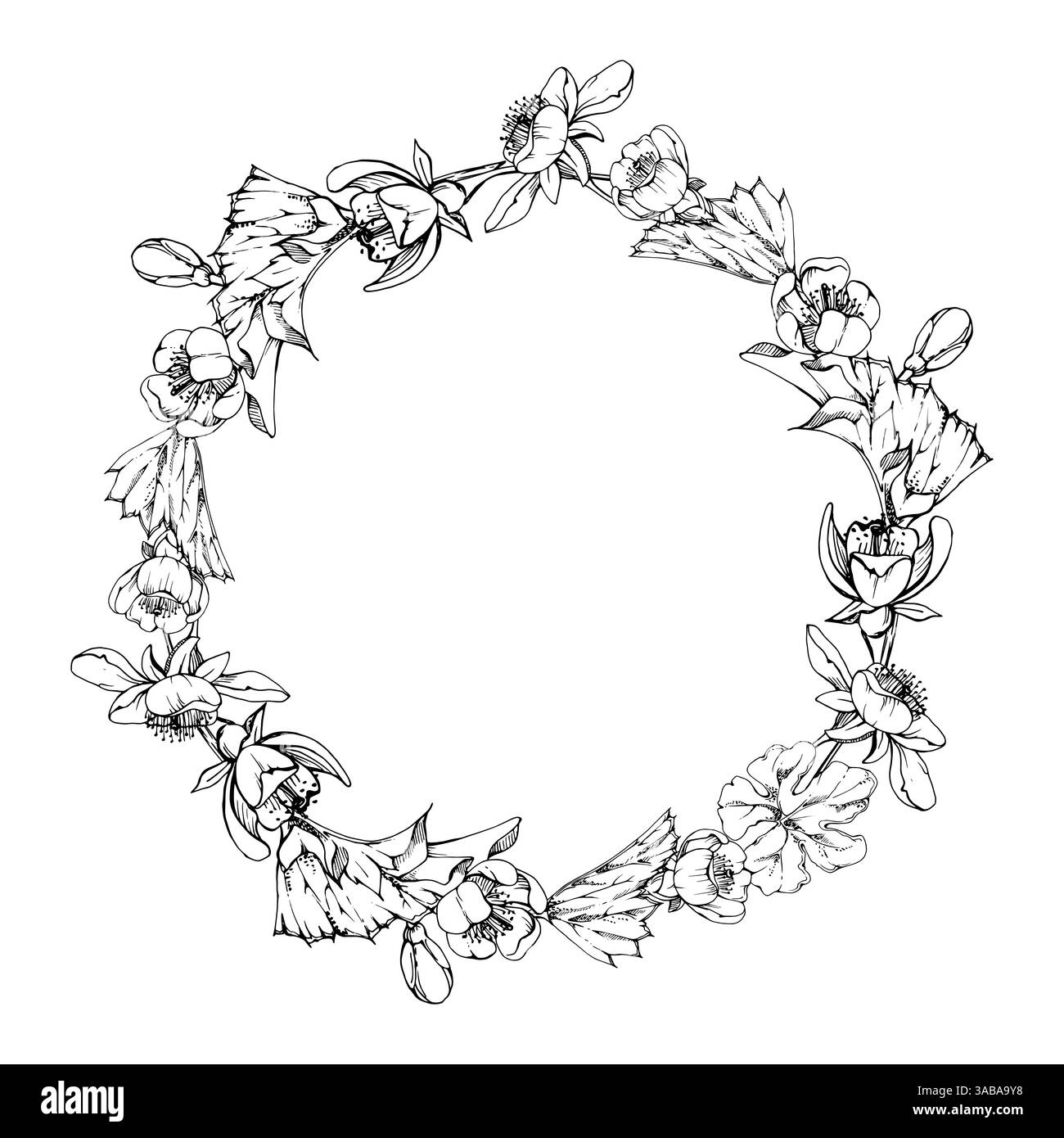 Printemps blanc pomme cerise fleurs sakura bourgeons feuilles, forêt mûrier anémone éphémère éphémère, encre vectorielle dessinée à la main. Cadre de couronne isolé Illustration de Vecteur