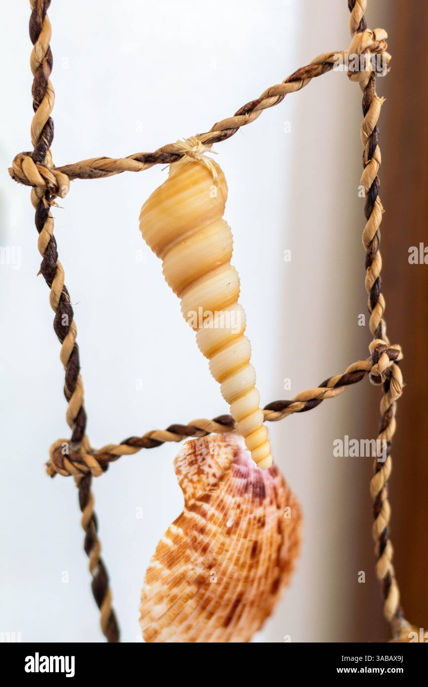 Décor local fait de coquillages philippins exposés dans une maison à Boracay, Philippines Banque D'Images