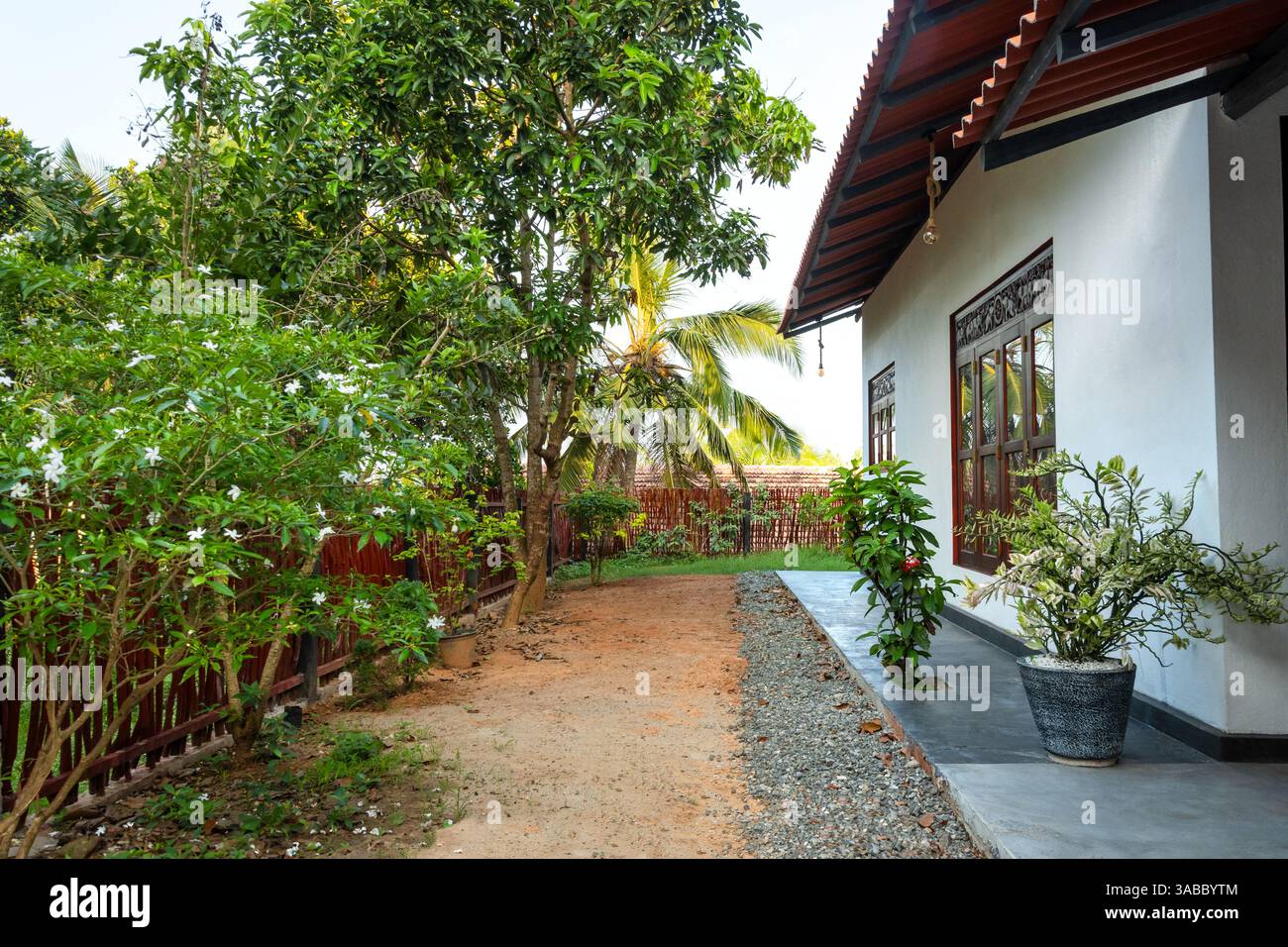Sri Lanka. 2023-15-février. Hiriketiya. Maison de campagne traditionnelle sri-lankaise construite avec toit en tuiles, entourée d'une végétation luxuriante. Tranquille Backyar Banque D'Images