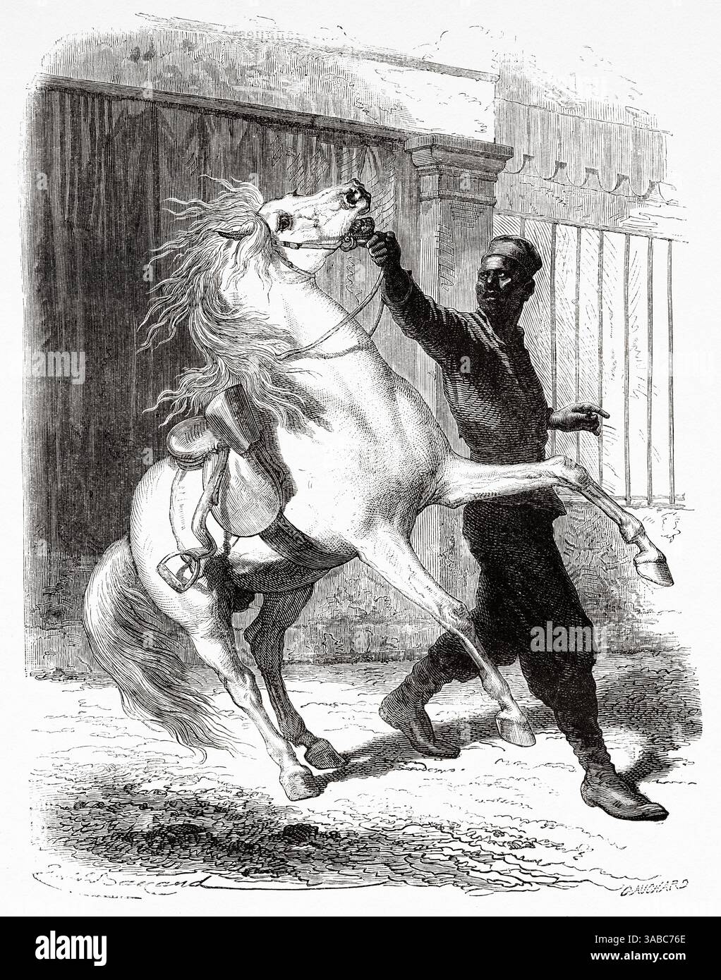 Spahi sénégalais avec un cheval à Saint Louis, Sénégal, Afrique. Dessin d'Emile Bayard (1837-1891) croisière sur les côtes africaines en 1868 par le vice-amiral Alphonse Fleuriot de Langle (1809 - 1881) le Tour du monde 1872 Banque D'Images