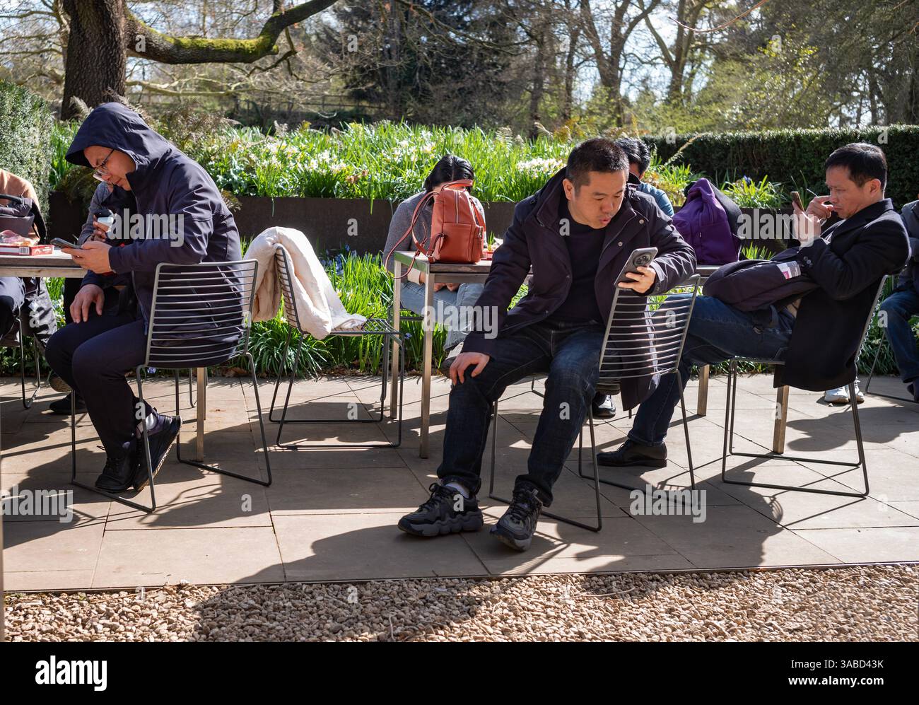 Cambridge Botanic Garden, Cambridge Angleterre visiteurs du jardin absorbés par leurs téléphones portables, téléphones cellulaires. Banque D'Images