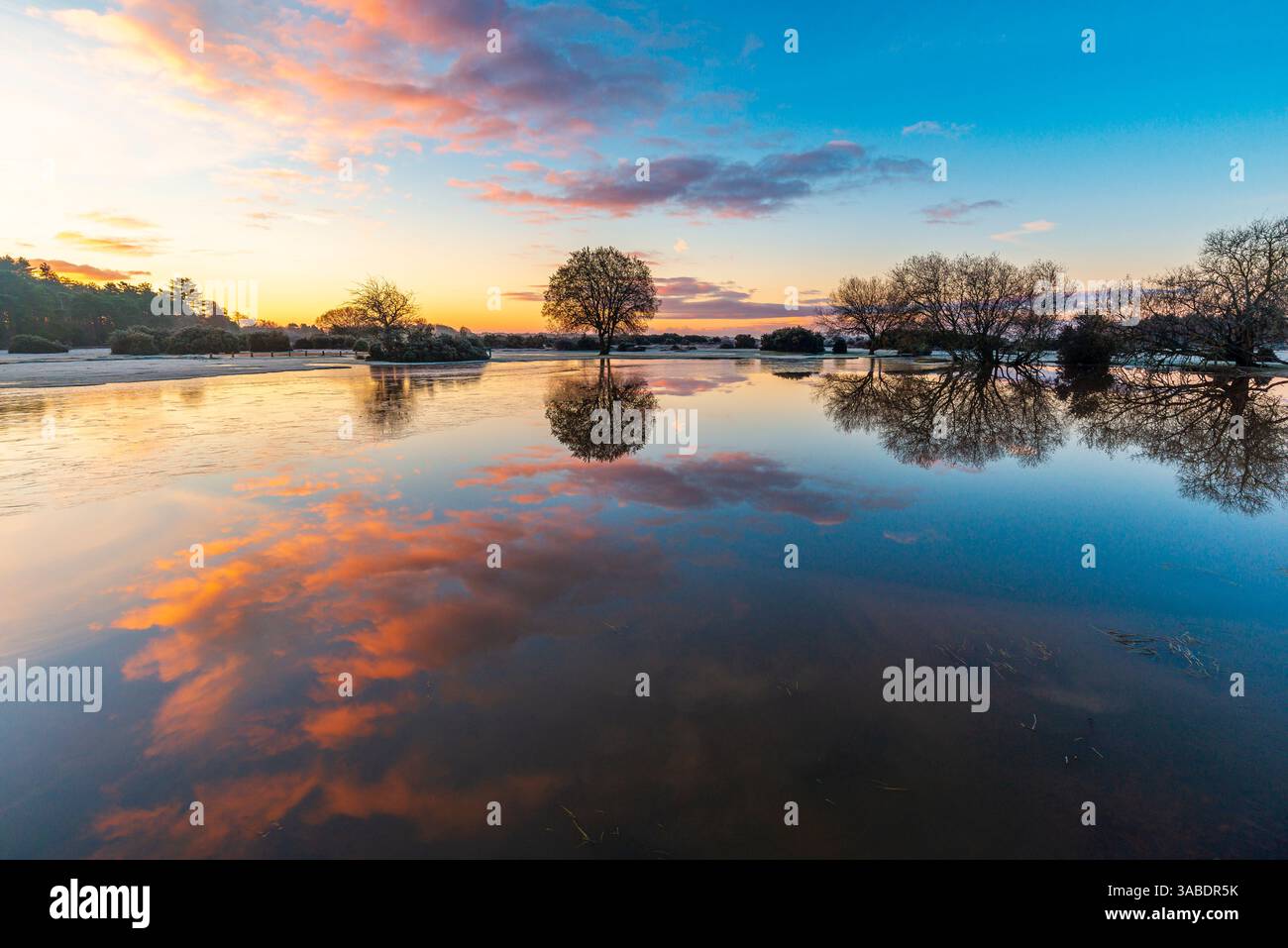 Janesmoor Pond, paysage New Forest, lever de soleil et réflexion matinale de décembre dans l'eau, Hampshire, Royaume-Uni Banque D'Images
