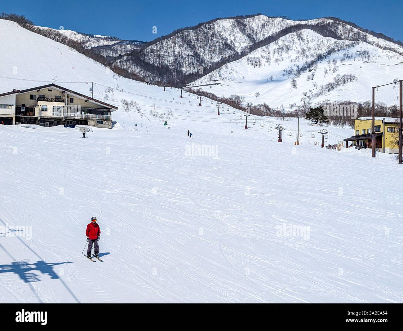 Skieur sur une piste de course verte douce à Tsugaike, Nagano, Japon Banque D'Images