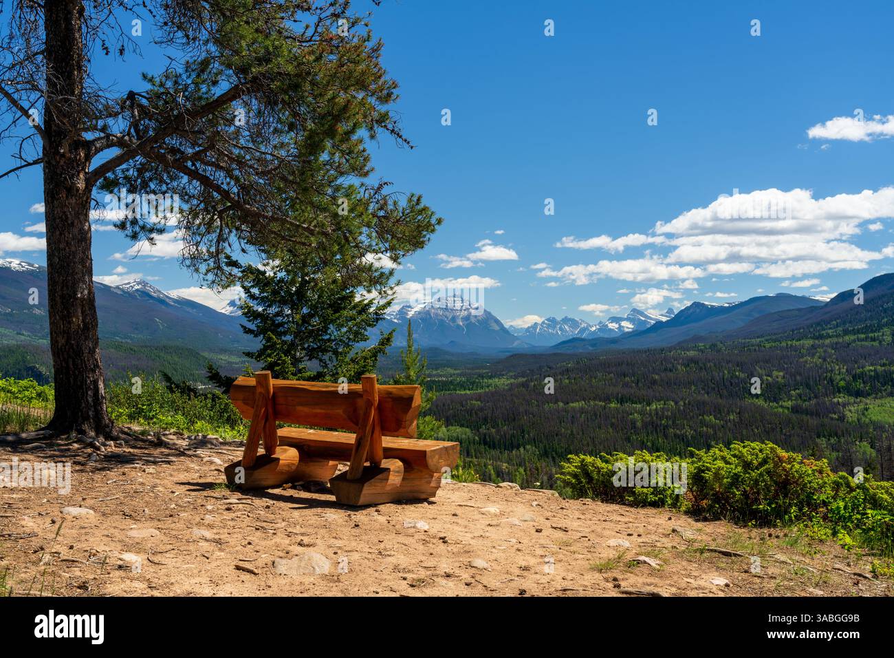 Banc en bois pittoresque surplombant les Rocheuses canadiennes. vue estivale sur la vallée de montagne dans le parc national Jasper, Alberta, Canada. Cabin Lake Loop Trail. Banque D'Images Banc en bois pittoresque surplombant les Rocheuses canadiennes. vue estivale sur la vallée de montagne dans le parc national Jasper, Alberta, Canada. Cabin Lake Loop Trail. Banque D'Images