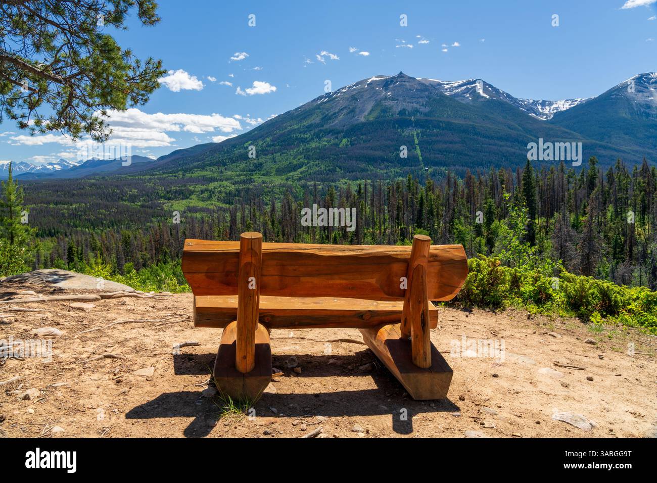 Banc en bois pittoresque surplombant les Rocheuses canadiennes. vue estivale sur la vallée de montagne dans le parc national Jasper, Alberta, Canada. Cabin Lake Loop Trail. Banque D'Images Banc en bois pittoresque surplombant les Rocheuses canadiennes. vue estivale sur la vallée de montagne dans le parc national Jasper, Alberta, Canada. Cabin Lake Loop Trail. Banque D'Images