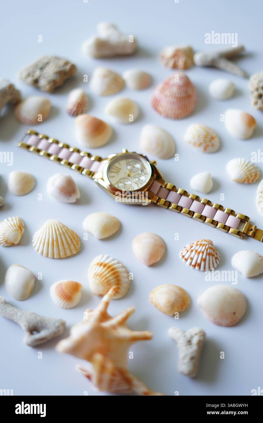 coquillages de mer et belle montre à main sur fond blanc. Banque D'Images