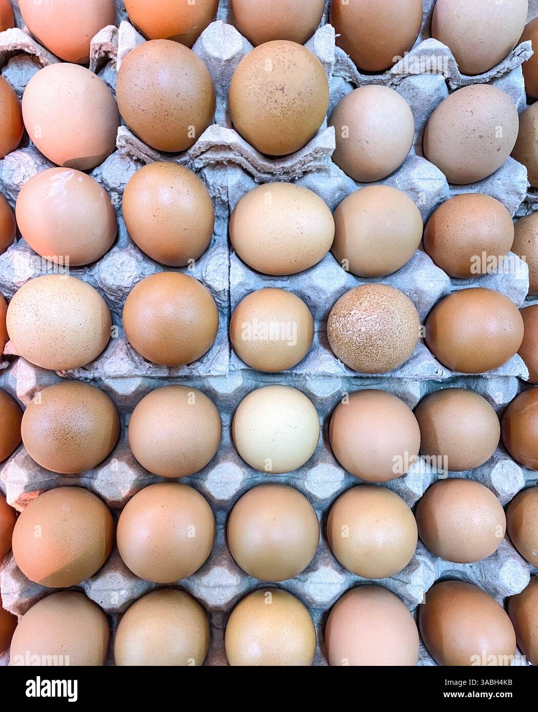 photo vue de dessus d'œufs de poule soigneusement disposés dans une boîte en carton - Image de stock capturée avec un smartphone