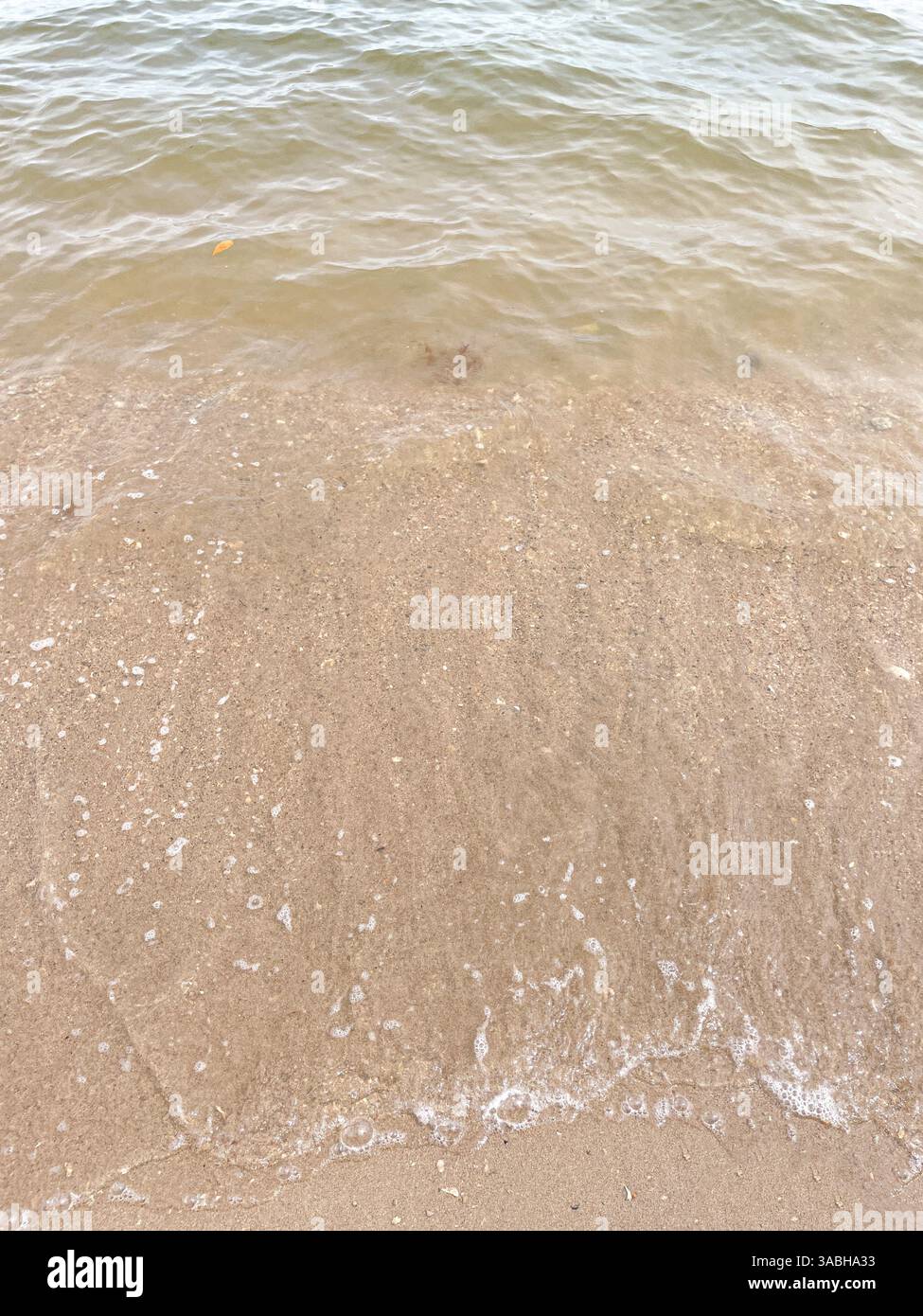 Vague de l'océan bleu doux sur une plage de sable. L'arrière-plan. Banque D'Images