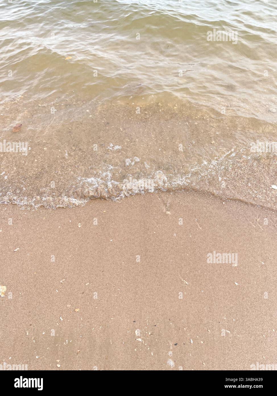 Vague de l'océan bleu doux sur une plage de sable. L'arrière-plan. Banque D'Images