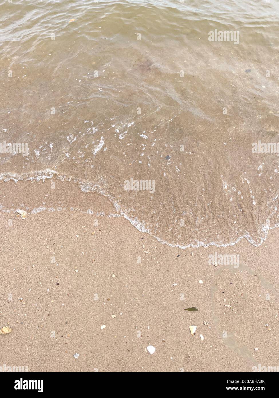 Vague de l'océan bleu doux sur une plage de sable. L'arrière-plan. Banque D'Images