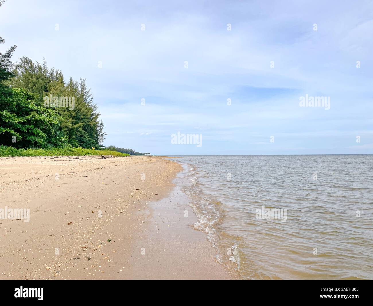 belle vue sur la plage avec arbres, mer et nuages - Image de stock capturée avec un smartphone