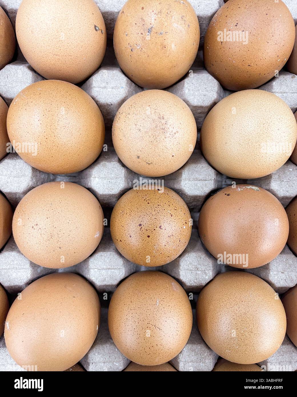 Oeufs bruns empilés en rangées dans un bac à papier. Vue de dessus - Image de stock capturée avec un smartphone