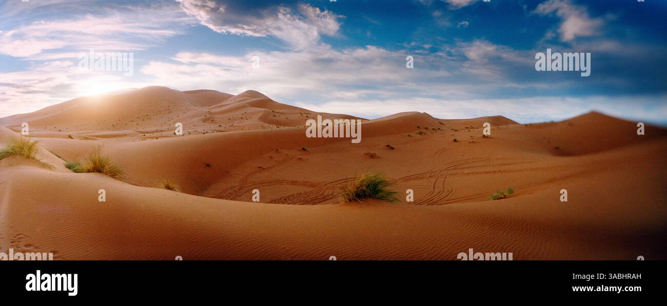 Vue panoramique sur le paysage du désert du Sahara au coucher du soleil, Maroc Banque D'Images