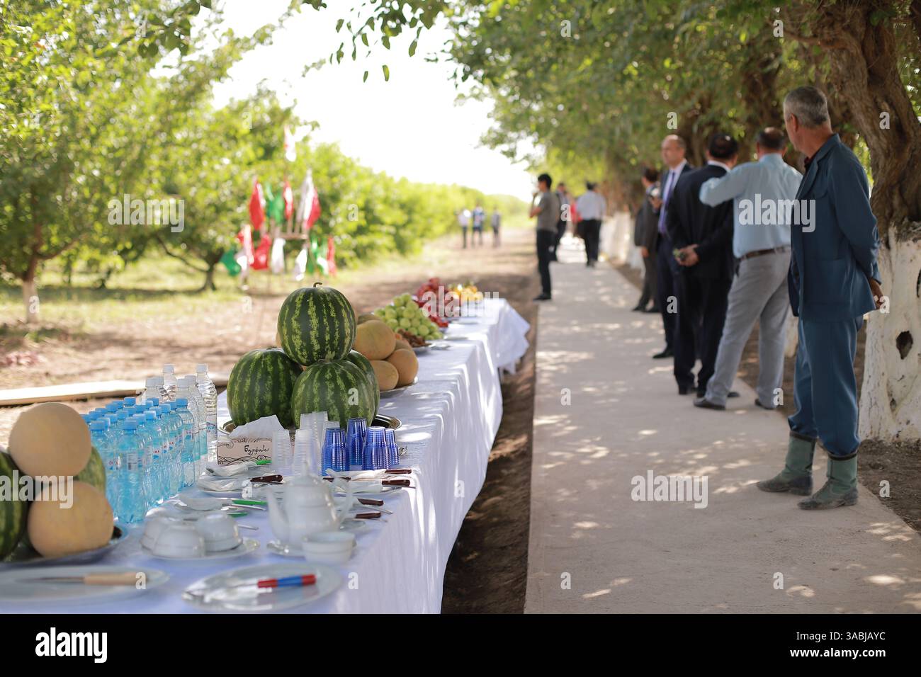 Fruits frais du Tadjikistan Banque D'Images