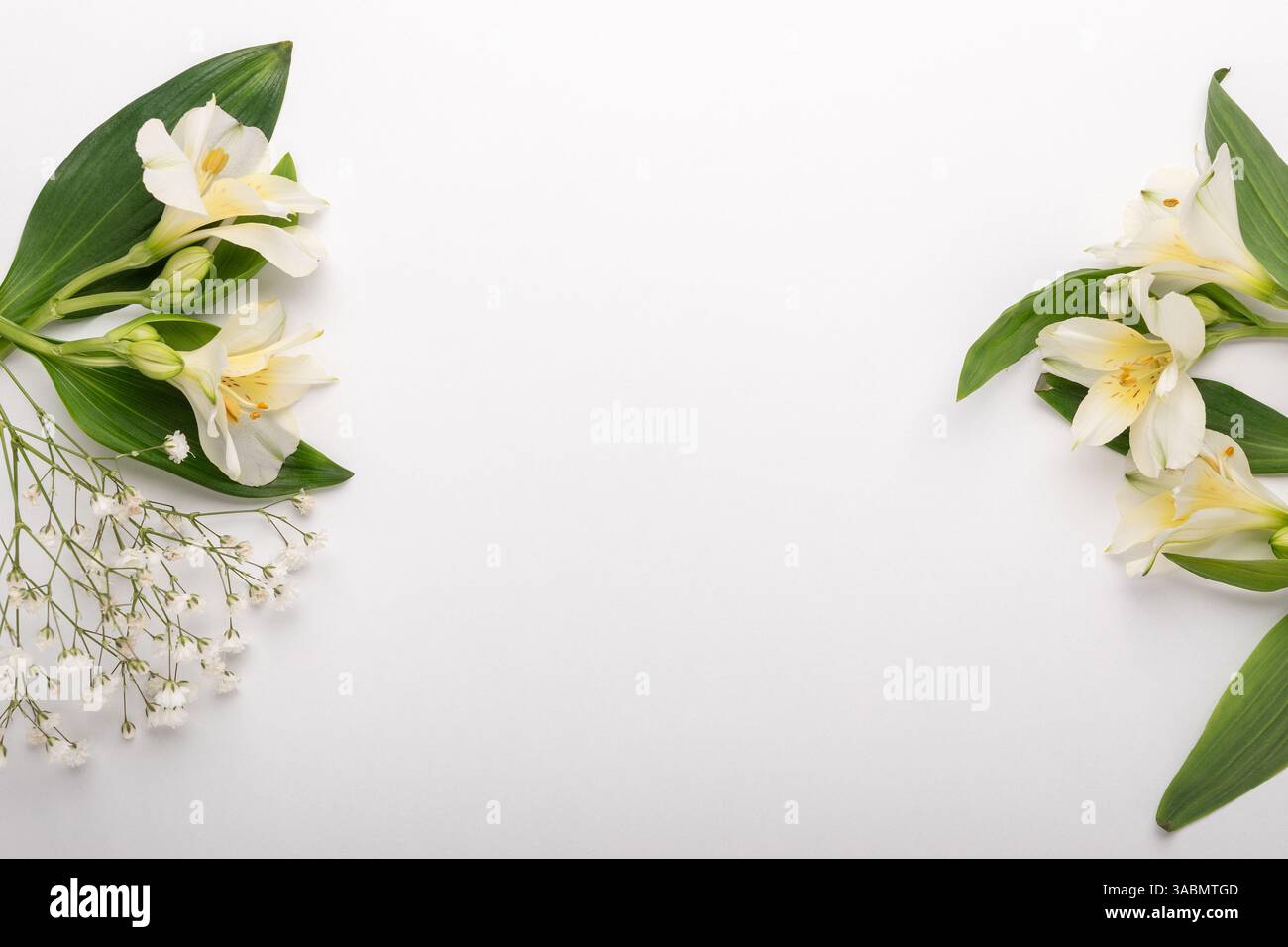 Maquette faite avec des fleurs sur fond blanc. Concept minimal. Banque D'Images