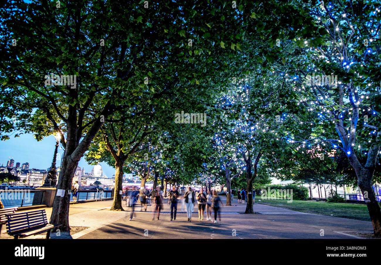 Les arbres avec Fairy Lights la nuit sur la Southbank London UK Banque D'Images
