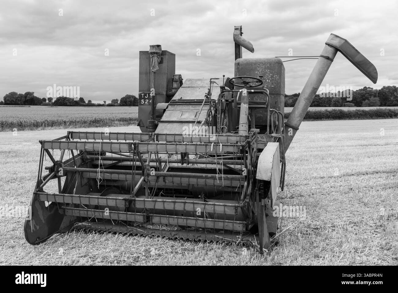 Haselbury Plucknet.Somerset.Royaume-Uni. 17 août 2024.une moissonneuse-batteuse Massey Ferguson ancienne est exposée lors d'un événement agricole de Yesterdays Banque D'Images