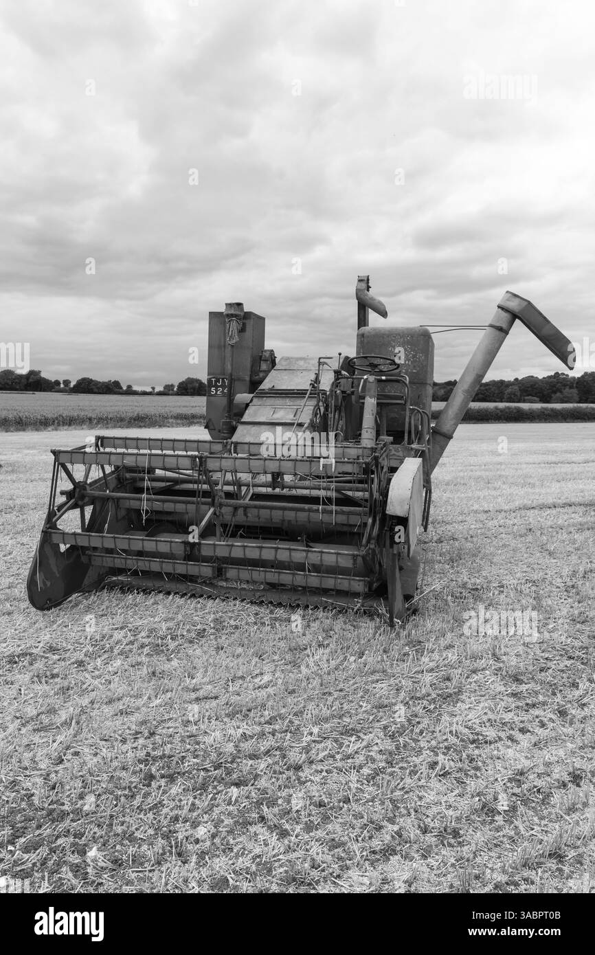 Haselbury Plucknet.Somerset.Royaume-Uni. 17 août 2024.une moissonneuse-batteuse Massey Ferguson ancienne est exposée lors d'un événement agricole de Yesterdays Banque D'Images