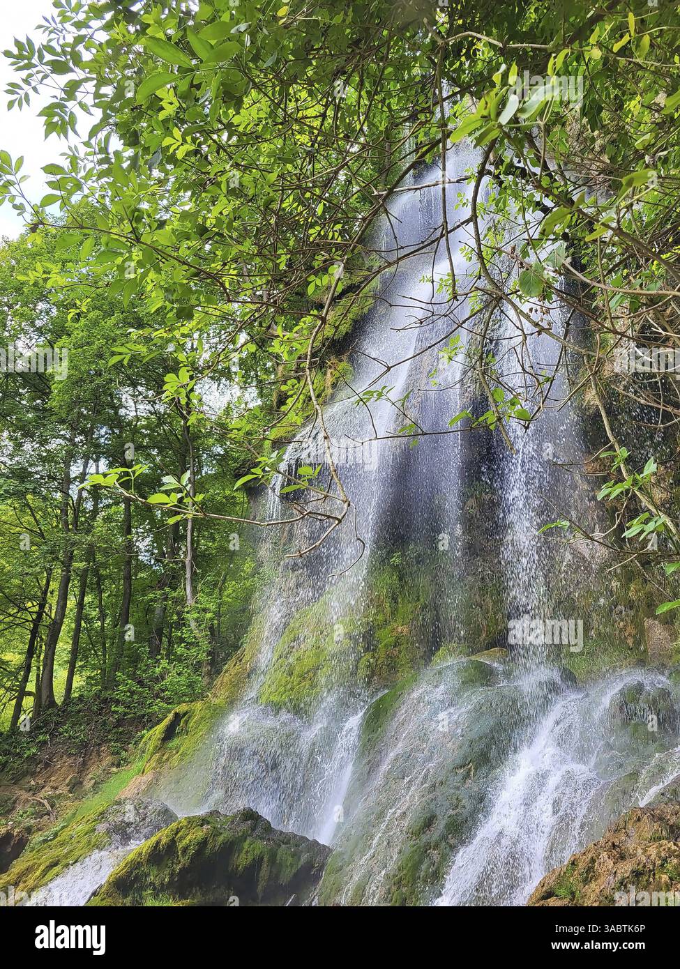 La cascade de Bad Urach, encastrée dans un paysage forestier verdoyant. L'eau coule le long d'une paroi rocheuse et forme une petite piscine au fond, autour Banque D'Images