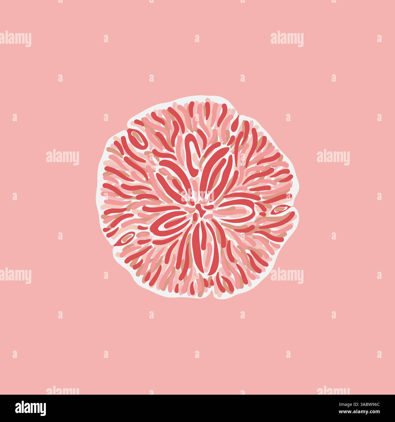 Illustration stylisée de coquille sur fond rose, composition d'inspiration marine Illustration de Vecteur