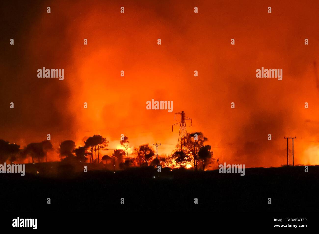 Poole, Dorset, Royaume-Uni. 3 avril 2025. Météo britannique. De la fumée et des flammes coulent dans leur air alors qu'un énorme feu de forêt illumine le ciel nocturne pendant qu'il brûle pendant la nuit à Upton Heath à Poole dans le Dorset. Plusieurs services d'urgence sont présents, les voies étant fermées sur la voie de contournement A35 Upton en raison de la proximité de l'incendie. Ce dernier incendie dans la région de Bournemouth et Poole survient après une période de sécheresse prolongée et des températures supérieures à la moyenne pour la période de l'année. Crédit photo : Graham Hunt/Alamy Live News Banque D'Images