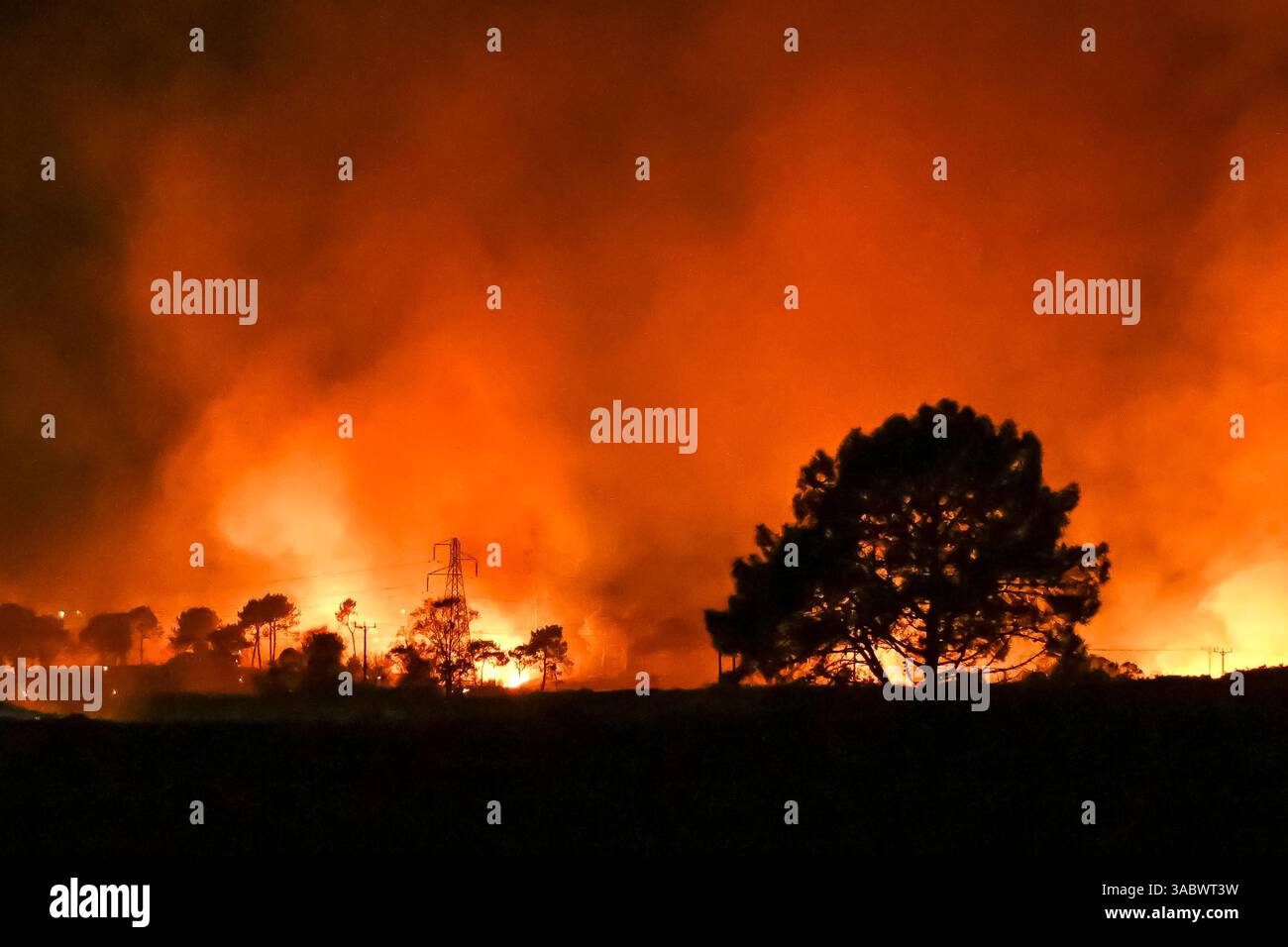 Poole, Dorset, Royaume-Uni. 3 avril 2025. Météo britannique. De la fumée et des flammes coulent dans leur air alors qu'un énorme feu de forêt illumine le ciel nocturne pendant qu'il brûle pendant la nuit à Upton Heath à Poole dans le Dorset. Plusieurs services d'urgence sont présents, les voies étant fermées sur la voie de contournement A35 Upton en raison de la proximité de l'incendie. Ce dernier incendie dans la région de Bournemouth et Poole survient après une période de sécheresse prolongée et des températures supérieures à la moyenne pour la période de l'année. Crédit photo : Graham Hunt/Alamy Live News Banque D'Images