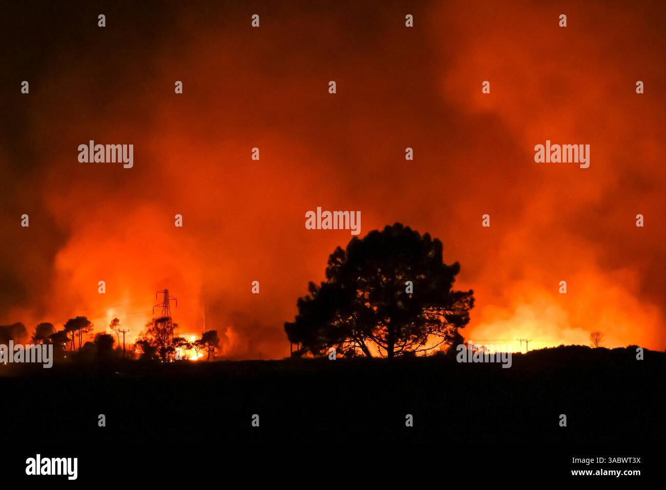 Poole, Dorset, Royaume-Uni. 3 avril 2025. Météo britannique. De la fumée et des flammes coulent dans leur air alors qu'un énorme feu de forêt illumine le ciel nocturne pendant qu'il brûle pendant la nuit à Upton Heath à Poole dans le Dorset. Plusieurs services d'urgence sont présents, les voies étant fermées sur la voie de contournement A35 Upton en raison de la proximité de l'incendie. Ce dernier incendie dans la région de Bournemouth et Poole survient après une période de sécheresse prolongée et des températures supérieures à la moyenne pour la période de l'année. Crédit photo : Graham Hunt/Alamy Live News Banque D'Images