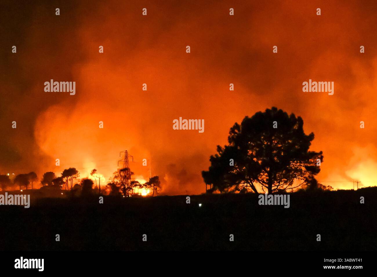 Poole, Dorset, Royaume-Uni. 3 avril 2025. Météo britannique. De la fumée et des flammes coulent dans leur air alors qu'un énorme feu de forêt illumine le ciel nocturne pendant qu'il brûle pendant la nuit à Upton Heath à Poole dans le Dorset. Plusieurs services d'urgence sont présents, les voies étant fermées sur la voie de contournement A35 Upton en raison de la proximité de l'incendie. Ce dernier incendie dans la région de Bournemouth et Poole survient après une période de sécheresse prolongée et des températures supérieures à la moyenne pour la période de l'année. Crédit photo : Graham Hunt/Alamy Live News Banque D'Images