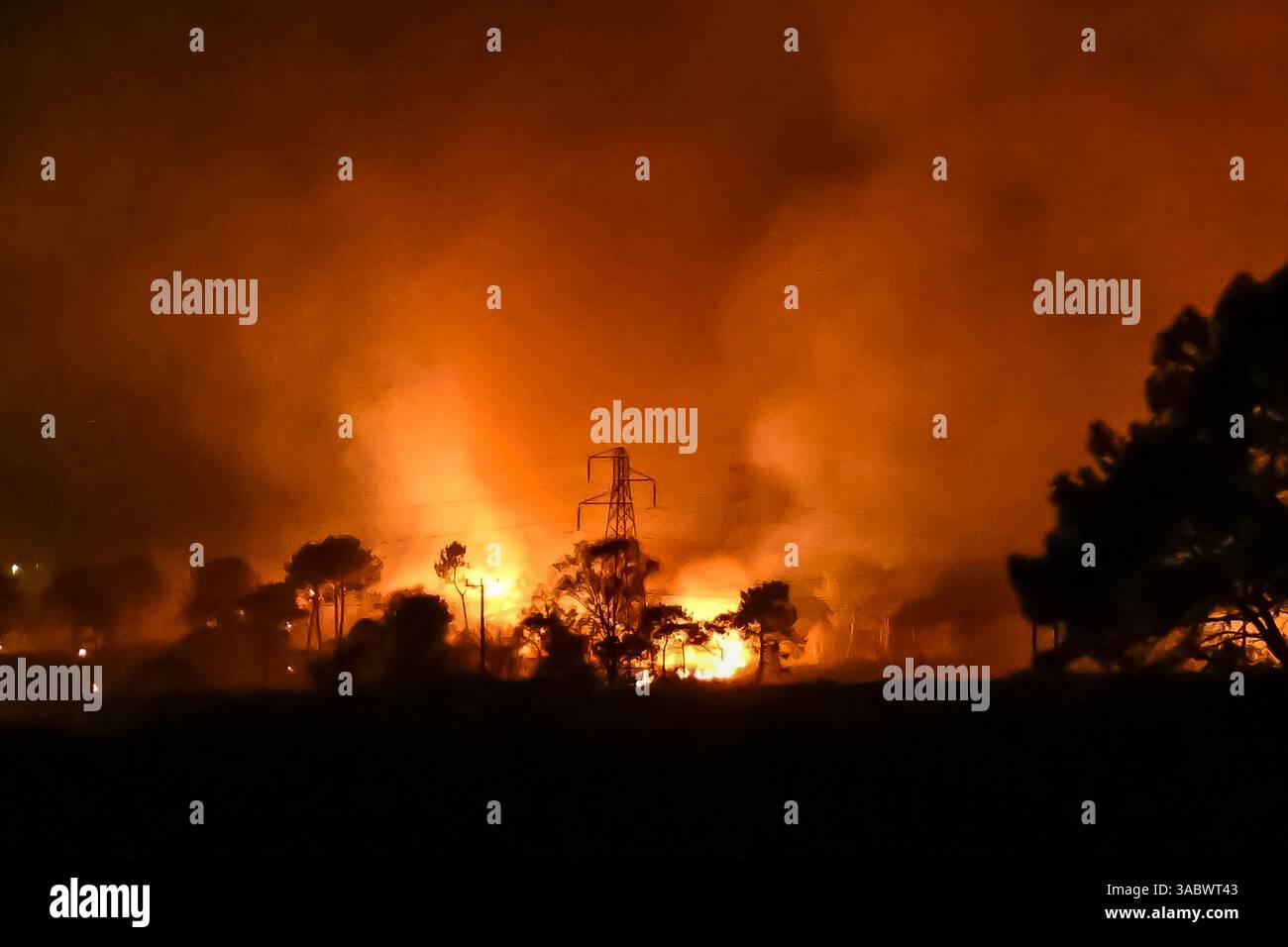 Poole, Dorset, Royaume-Uni. 3 avril 2025. Météo britannique. De la fumée et des flammes coulent dans leur air alors qu'un énorme feu de forêt illumine le ciel nocturne pendant qu'il brûle pendant la nuit à Upton Heath à Poole dans le Dorset. Plusieurs services d'urgence sont présents, les voies étant fermées sur la voie de contournement A35 Upton en raison de la proximité de l'incendie. Ce dernier incendie dans la région de Bournemouth et Poole survient après une période de sécheresse prolongée et des températures supérieures à la moyenne pour la période de l'année. Crédit photo : Graham Hunt/Alamy Live News Banque D'Images