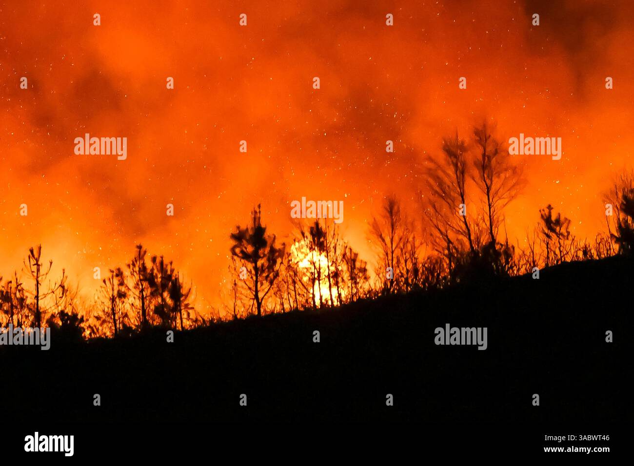 Poole, Dorset, Royaume-Uni. 3 avril 2025. Météo britannique. De la fumée et des flammes coulent dans leur air alors qu'un énorme feu de forêt illumine le ciel nocturne pendant qu'il brûle pendant la nuit à Upton Heath à Poole dans le Dorset. Plusieurs services d'urgence sont présents, les voies étant fermées sur la voie de contournement A35 Upton en raison de la proximité de l'incendie. Ce dernier incendie dans la région de Bournemouth et Poole survient après une période de sécheresse prolongée et des températures supérieures à la moyenne pour la période de l'année. Crédit photo : Graham Hunt/Alamy Live News Banque D'Images