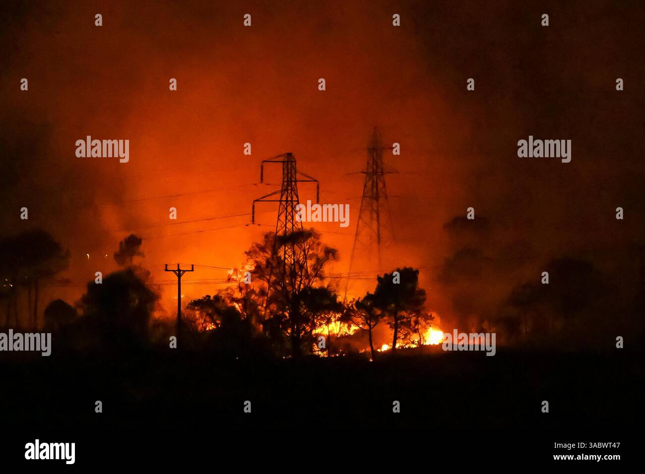 Poole, Dorset, Royaume-Uni. 3 avril 2025. Météo britannique. De la fumée et des flammes coulent dans leur air alors qu'un énorme feu de forêt illumine le ciel nocturne pendant qu'il brûle pendant la nuit à Upton Heath à Poole dans le Dorset. Plusieurs services d'urgence sont présents, les voies étant fermées sur la voie de contournement A35 Upton en raison de la proximité de l'incendie. Ce dernier incendie dans la région de Bournemouth et Poole survient après une période de sécheresse prolongée et des températures supérieures à la moyenne pour la période de l'année. Crédit photo : Graham Hunt/Alamy Live News Banque D'Images