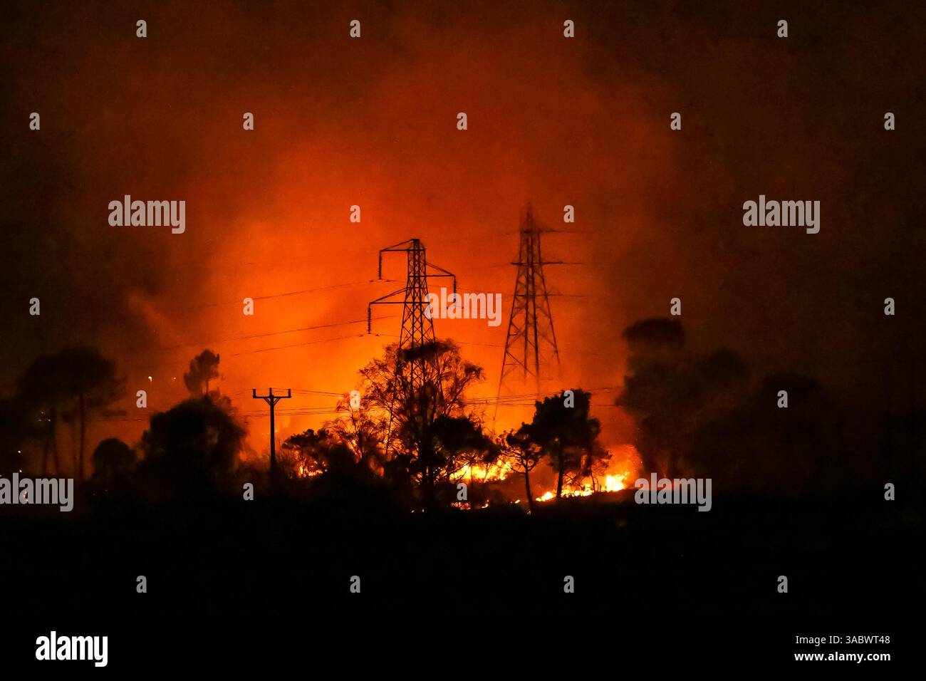 Poole, Dorset, Royaume-Uni. 3 avril 2025. Météo britannique. De la fumée et des flammes coulent dans leur air alors qu'un énorme feu de forêt illumine le ciel nocturne pendant qu'il brûle pendant la nuit à Upton Heath à Poole dans le Dorset. Plusieurs services d'urgence sont présents, les voies étant fermées sur la voie de contournement A35 Upton en raison de la proximité de l'incendie. Ce dernier incendie dans la région de Bournemouth et Poole survient après une période de sécheresse prolongée et des températures supérieures à la moyenne pour la période de l'année. Crédit photo : Graham Hunt/Alamy Live News Banque D'Images