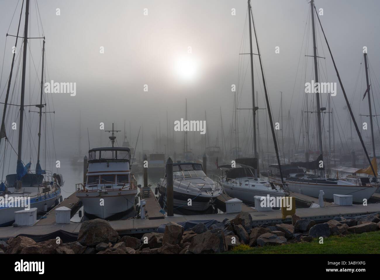 Oceanside, Californie - 3 janvier 2025 : scène tranquille de voiliers amarrés à Oceanside Harbor, Californie, enveloppés dans le brouillard au début de la matinée Banque D'Images