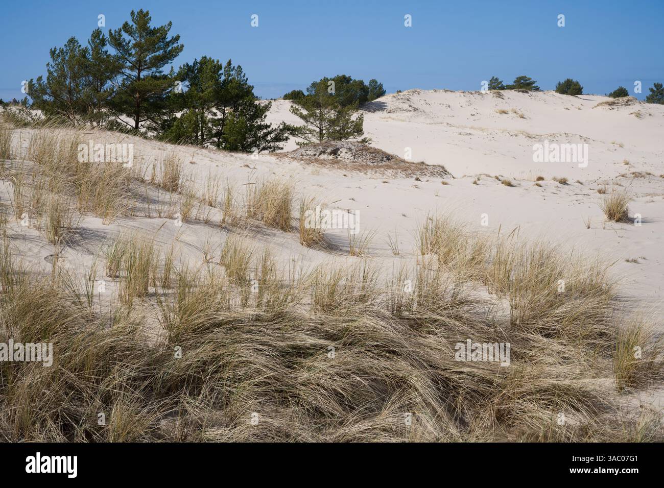 Parc national de Słowinski dunes de sable, Pologne Banque D'Images