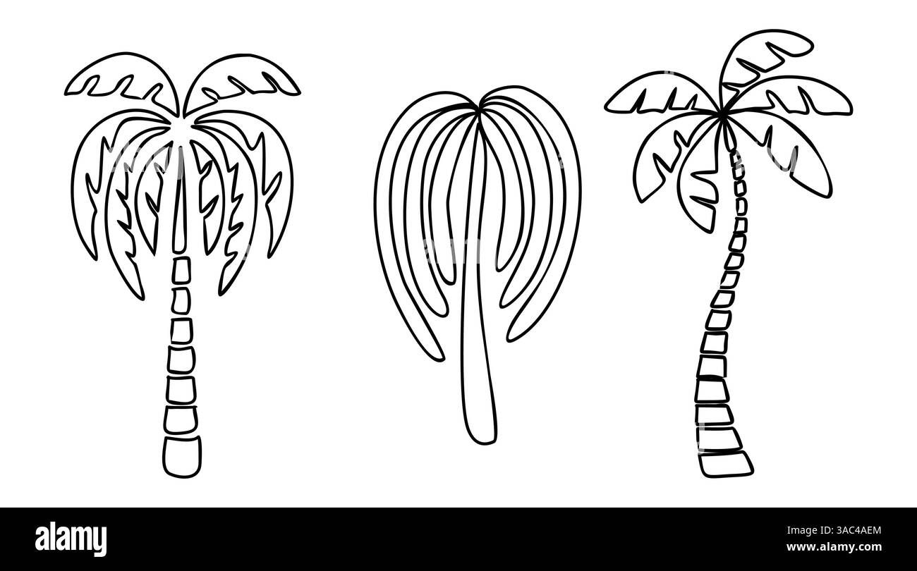 Ensemble de différents dessins de contour de palmier. Illustration de Vecteur