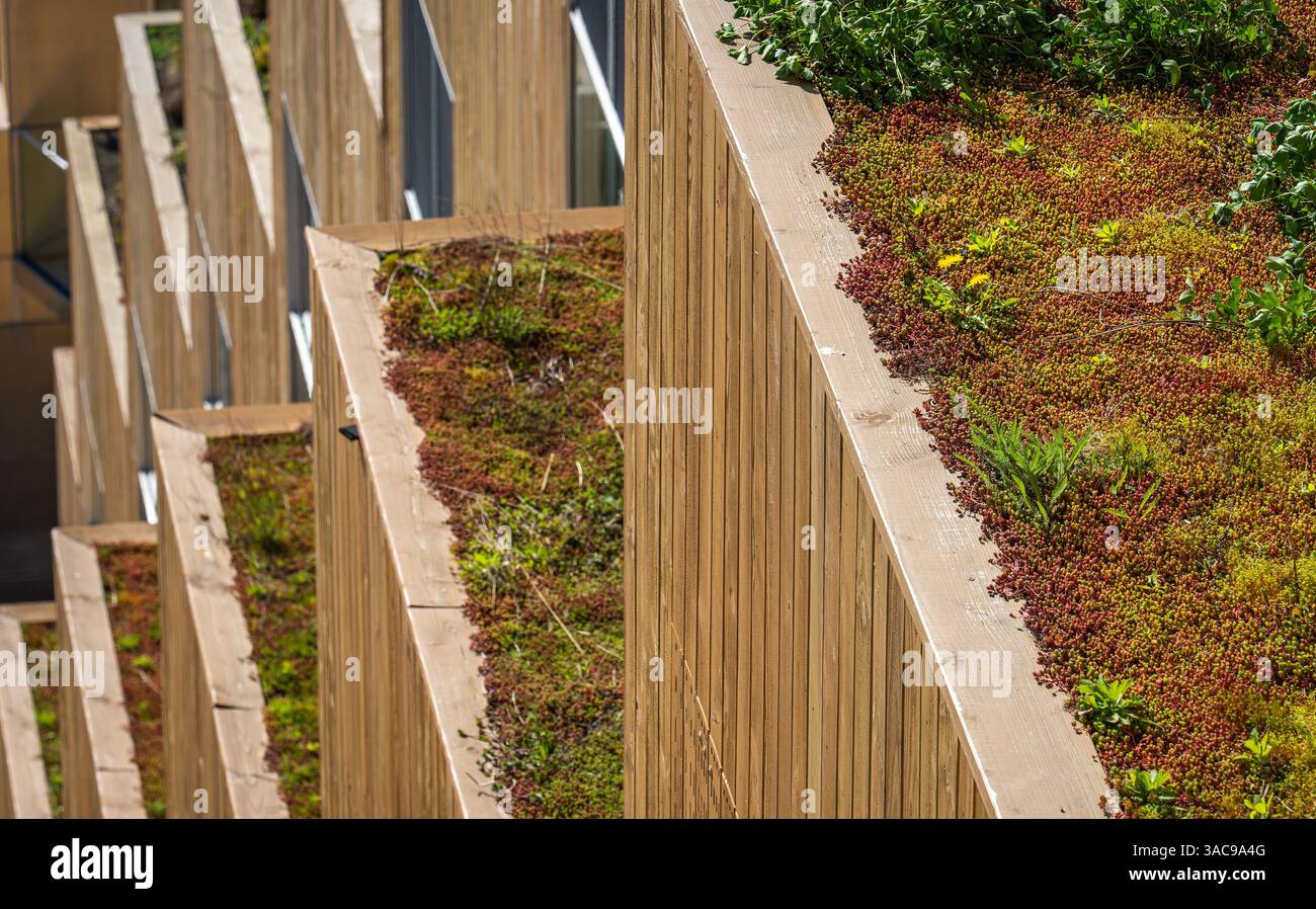 Complexe d'appartements durable moderne avec des toits verts et vivants respectueux de l'environnement Banque D'Images