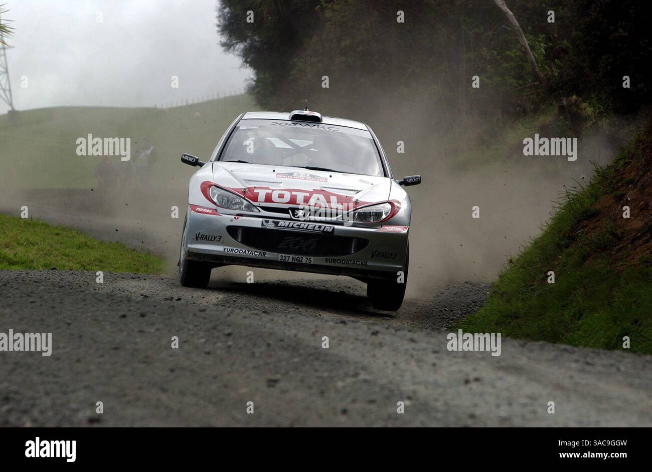 Photo Rallye - Gilles Et Hervé Panizzi Peugeot 206 WRC 1ère Position - Années 2000
