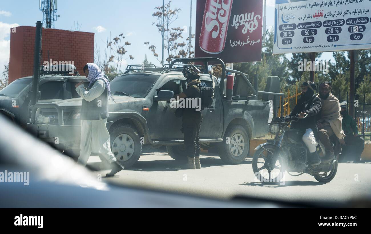 Vérification des documents au point de contrôle à Ghazni Banque D'Images