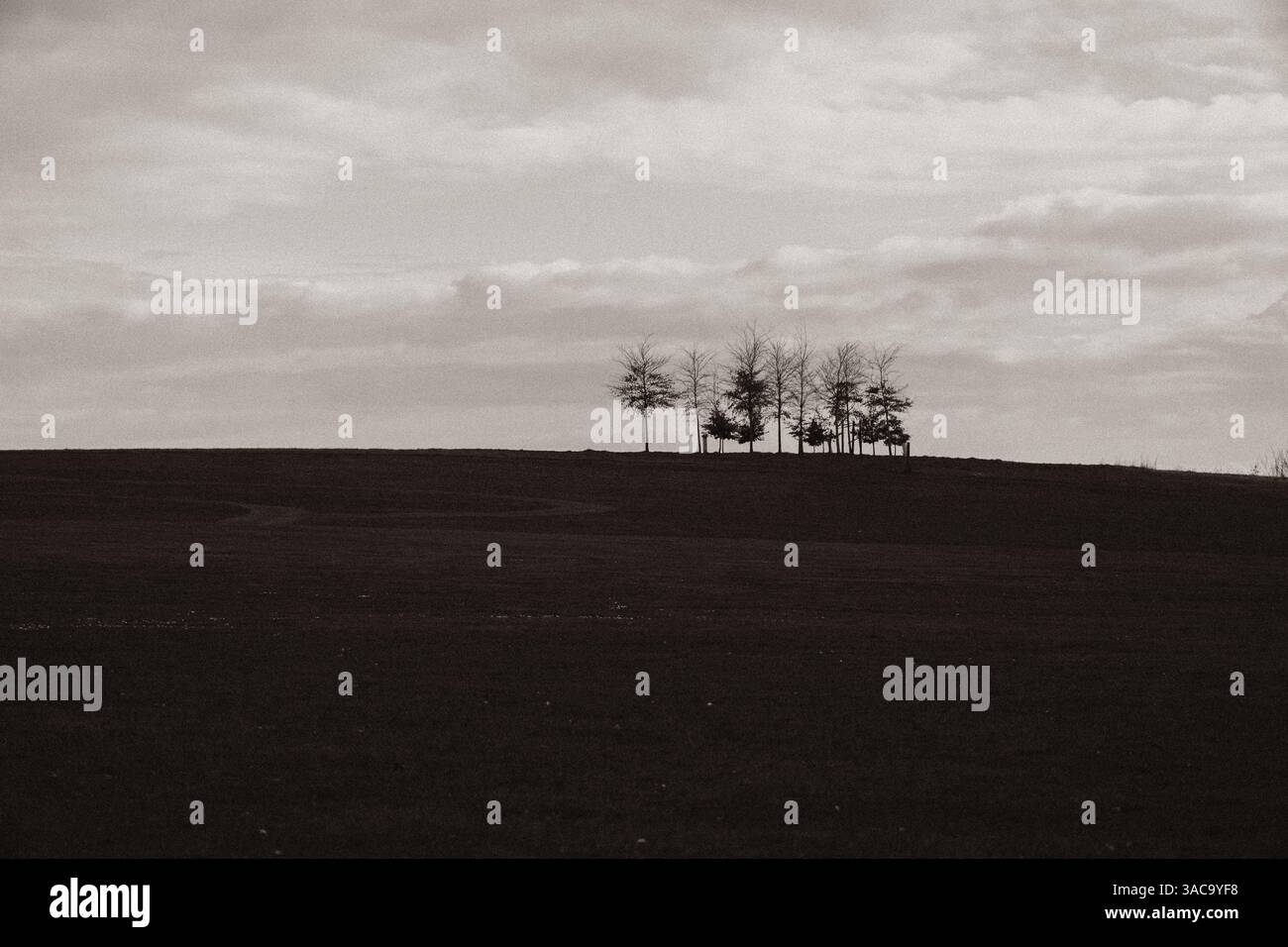 Sur la colline Banque D'Images