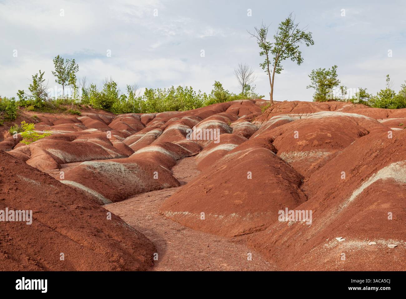 Les Badlands de Cheltenham à Caledon en été, Ontarion, Canada, un petit exemple de formation de badlands. Banque D'Images