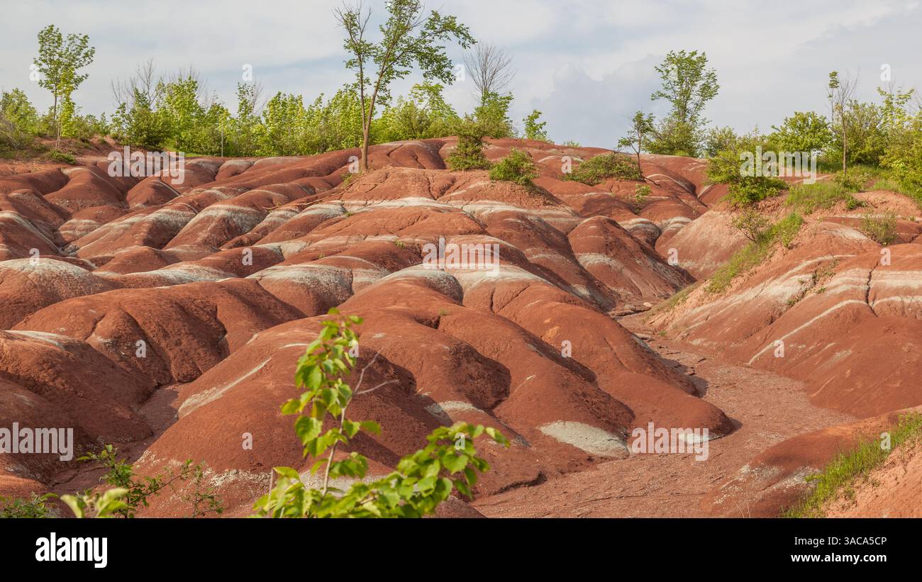 Les Badlands de Cheltenham à Caledon en été, Ontarion, Canada, un petit exemple de formation de badlands. Banque D'Images