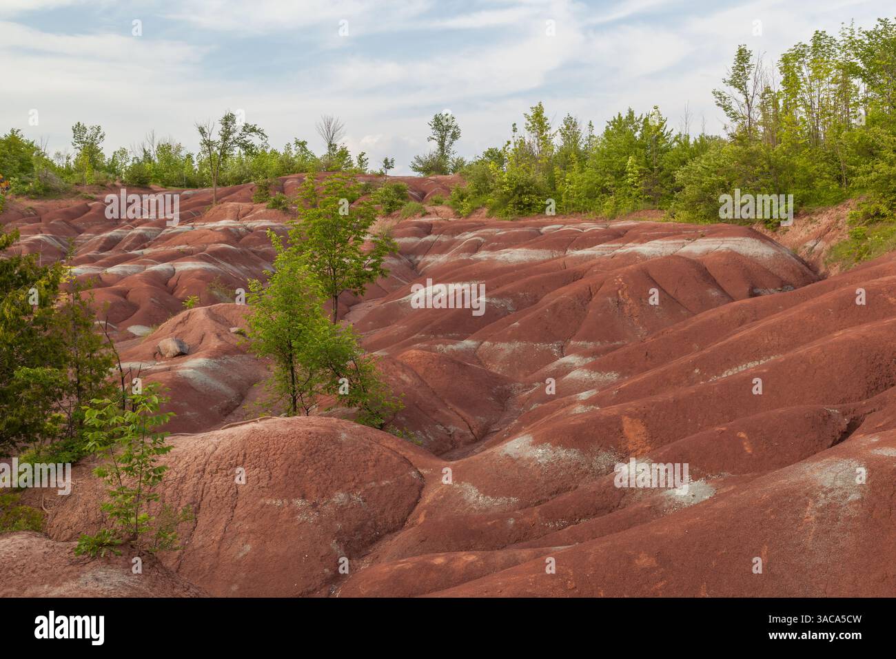 Les Badlands de Cheltenham à Caledon en été, Ontarion, Canada, un petit exemple de formation de badlands. Banque D'Images