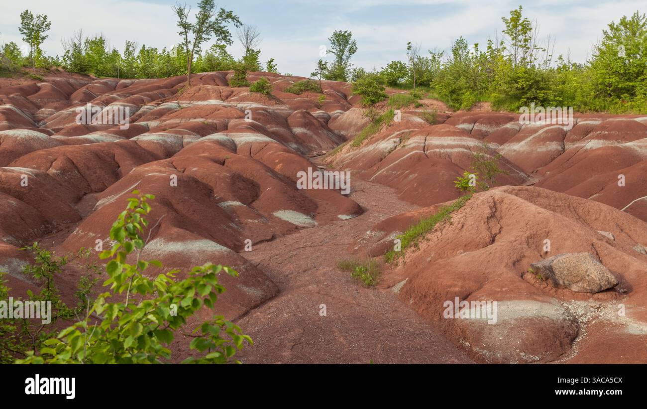 Les Badlands de Cheltenham à Caledon en été, Ontarion, Canada, un petit exemple de formation de badlands. Banque D'Images