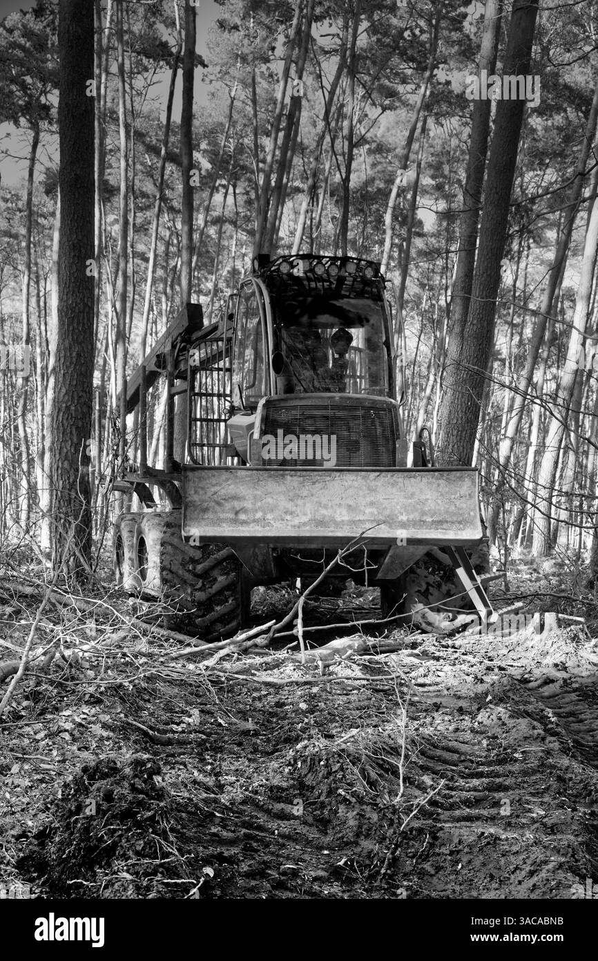 Un bulldozer dans la forêt, au premier plan des traces de dommages au sol et de compactage avec des marques de pneus et un sol baratté. Photographie noir et blanc Banque D'Images