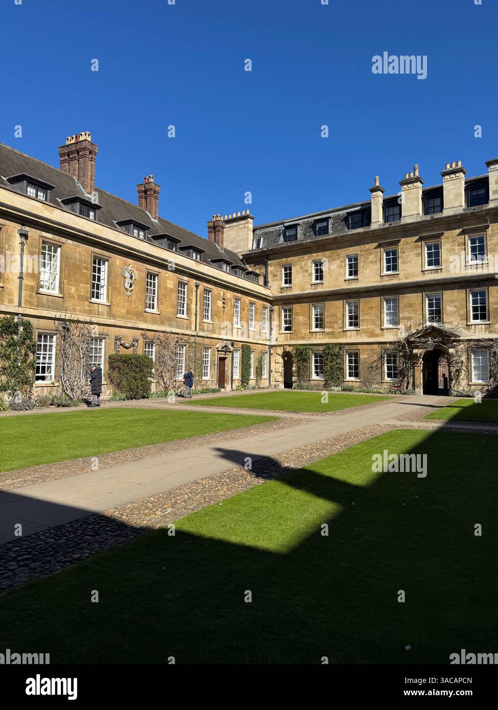 Trinity Hall College, Université de Cambridge, Cambridge, Angleterre, Royaume-Uni Banque D'Images Trinity Hall College, Université de Cambridge, Cambridge, Angleterre, Royaume-Uni Banque D'Images