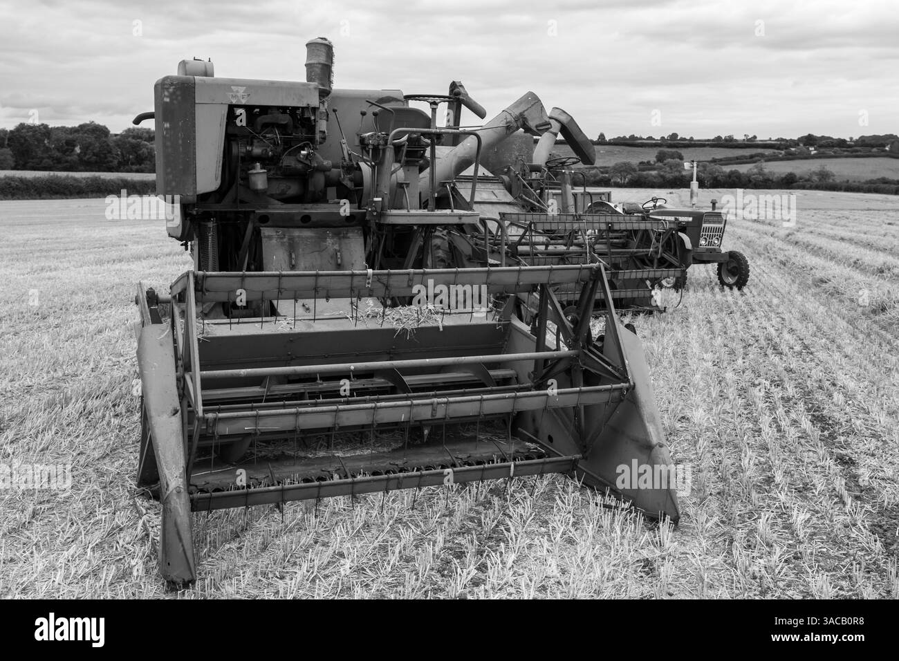 Haselbury Plucknet.Somerset.Royaume-Uni. 17 août 2024.Une moissonneuse-batteuse Massey Ferguson 31 est présentée lors d'un événement agricole de Yesterdays Banque D'Images