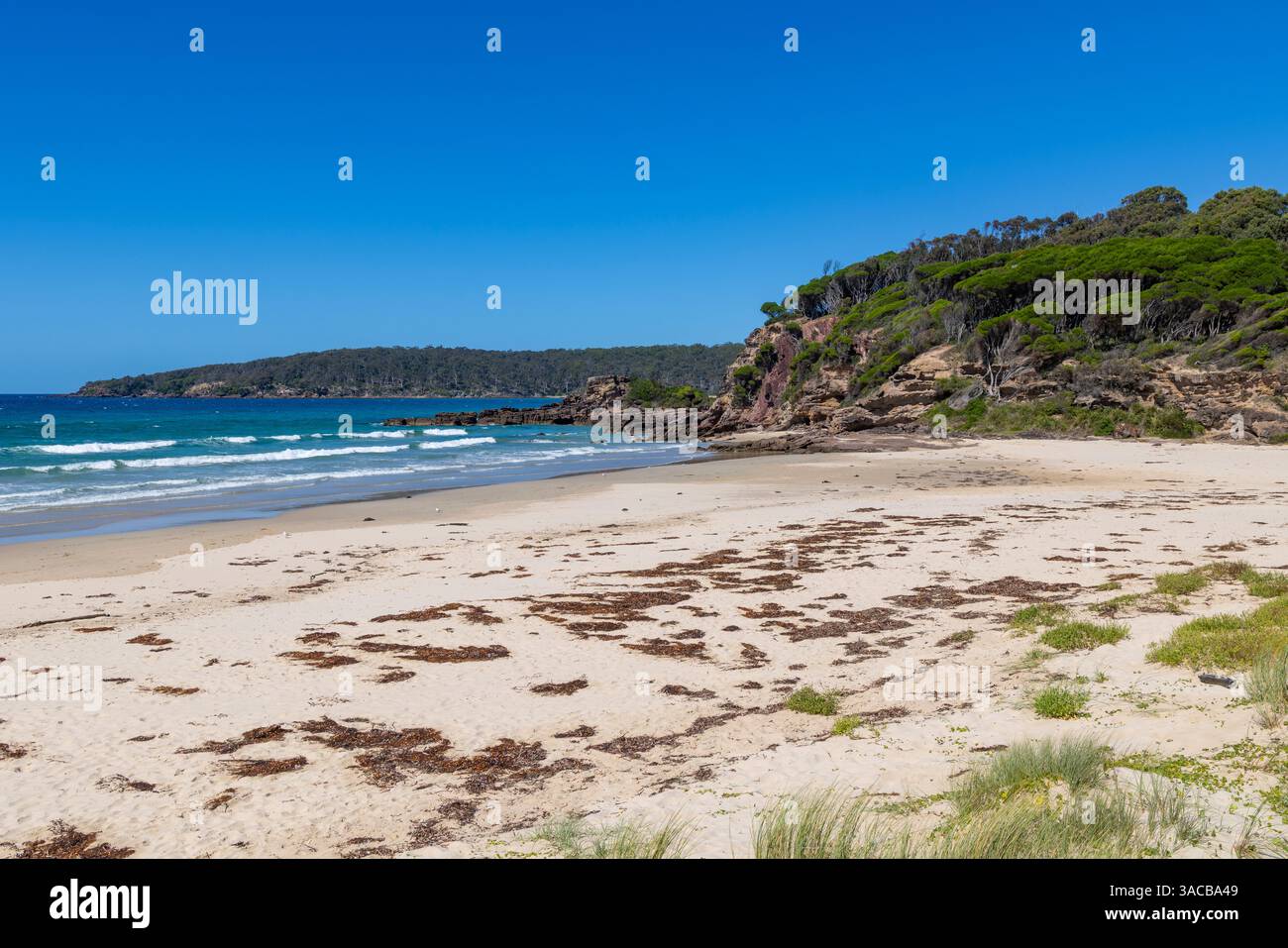 Plage de Pambula sur la côte australienne de saphir, ciel bleu jour d'automne, Merimbula, Nouvelle-Galles du Sud, Australie Banque D'Images
