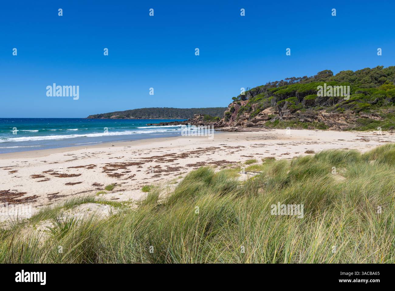 Plage de Pambula sur la côte australienne de saphir, ciel bleu jour d'automne, Merimbula, Nouvelle-Galles du Sud, Australie Banque D'Images