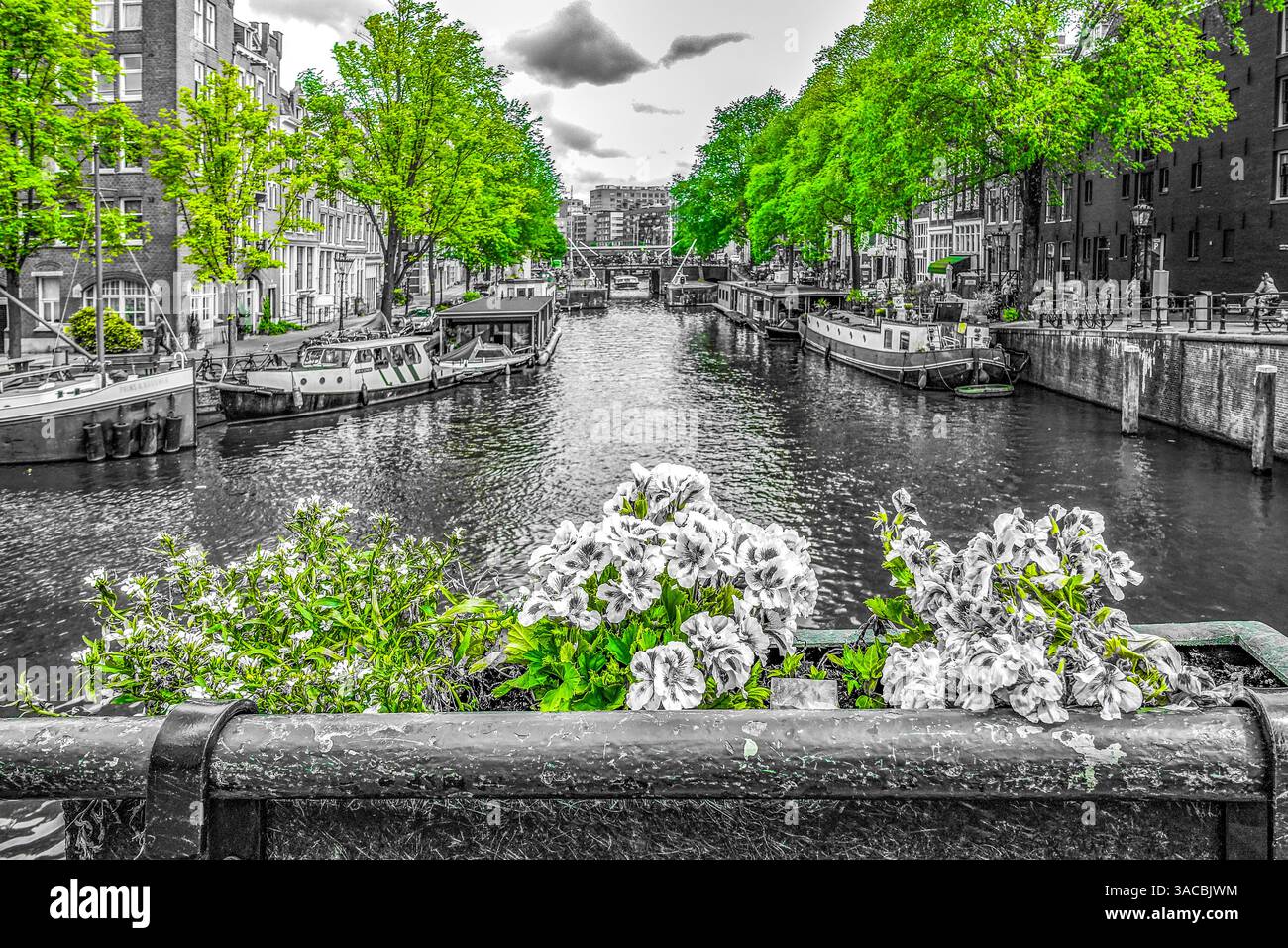 Amsterdam, pays-Bas. Vue colorée en noir et blanc sur les canaux pittoresques d'Amsterdam. Banque D'Images