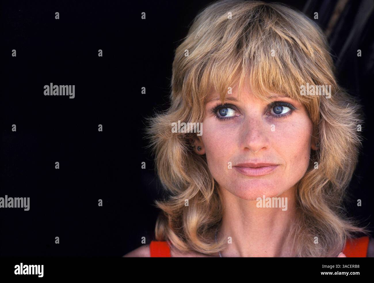 Jun 01, 1980 - Costa Mesa, Californie, États-Unis - L'actrice britannique JILL IRELAND, 1980 ans, (mariée à Charles Bronson) était une cavalière passionnée qui pratiquait au club hippique du champ de foire d'Orange County, Costa Mesa. (Crédit image : © Bernard Fallon/ZUMA Press) Banque D'Images